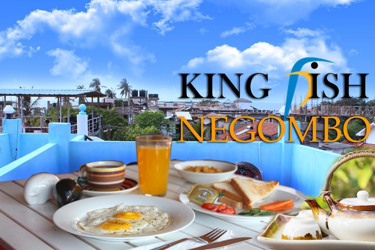 King Fish Guest House Негомбо Экстерьер фото